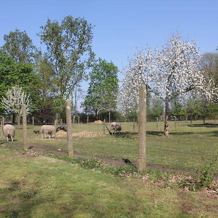 Bed and Breakfast Beej Potters Weert Zewnętrze zdjęcie