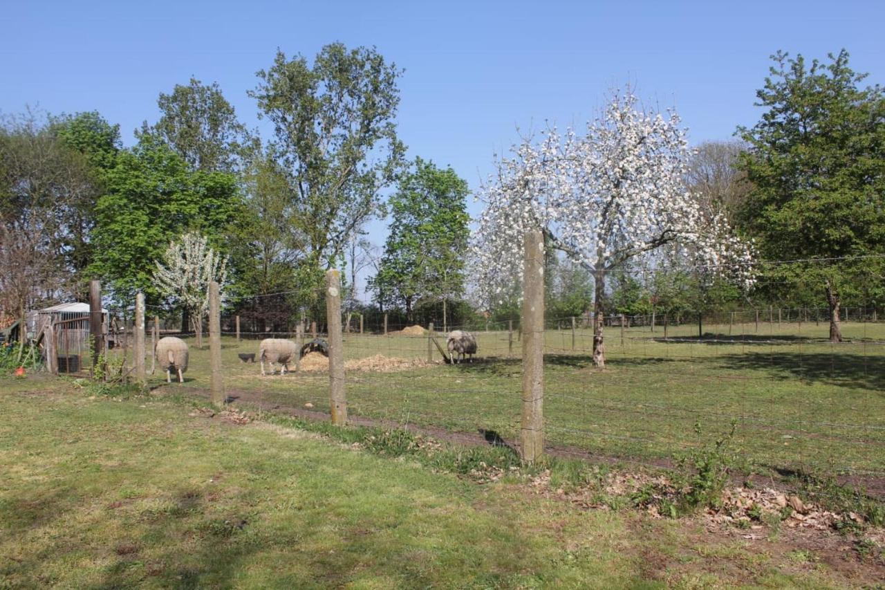 Bed and Breakfast Beej Potters Weert Zewnętrze zdjęcie