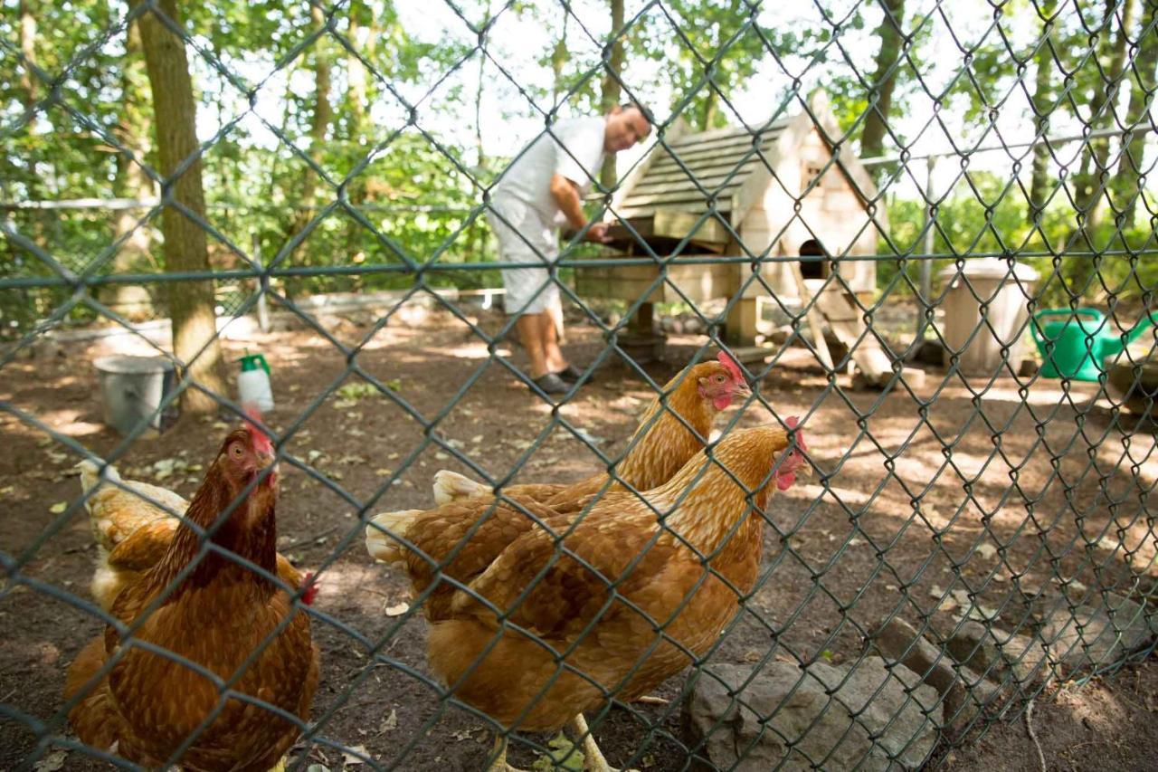 Bed and Breakfast Beej Potters Weert Zewnętrze zdjęcie