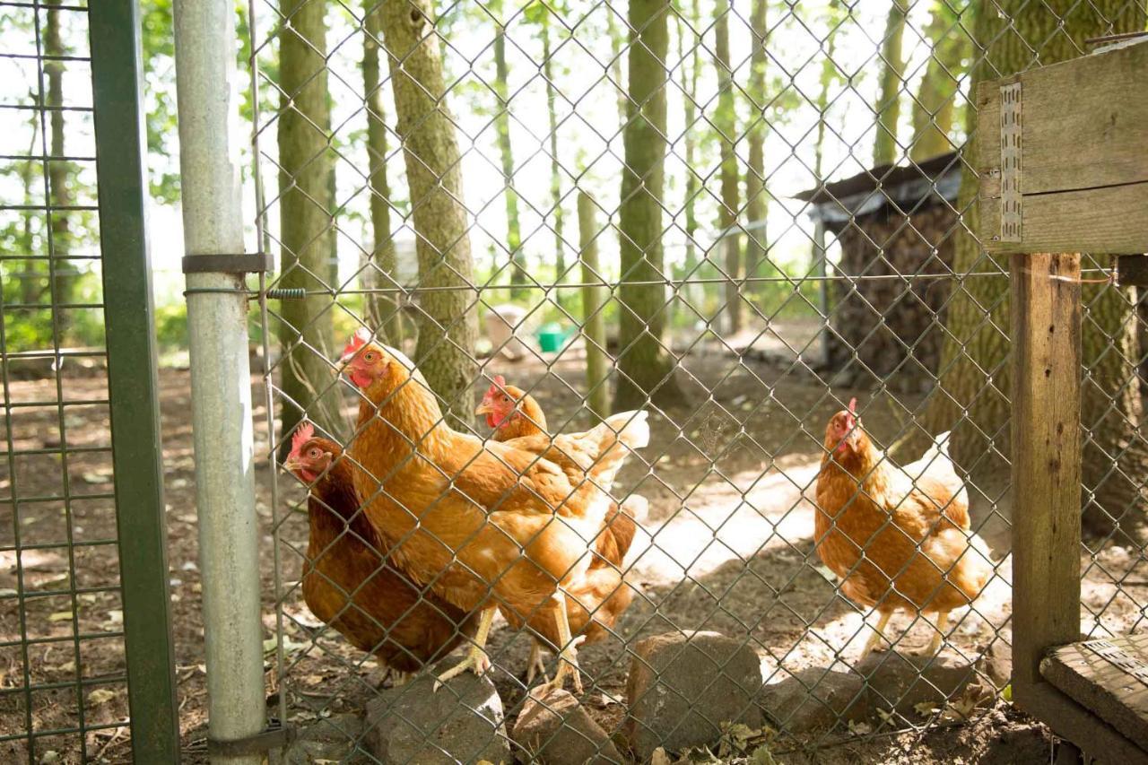 Bed and Breakfast Beej Potters Weert Zewnętrze zdjęcie